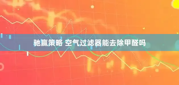 驰赢策略 空气过滤器能去除甲醛吗