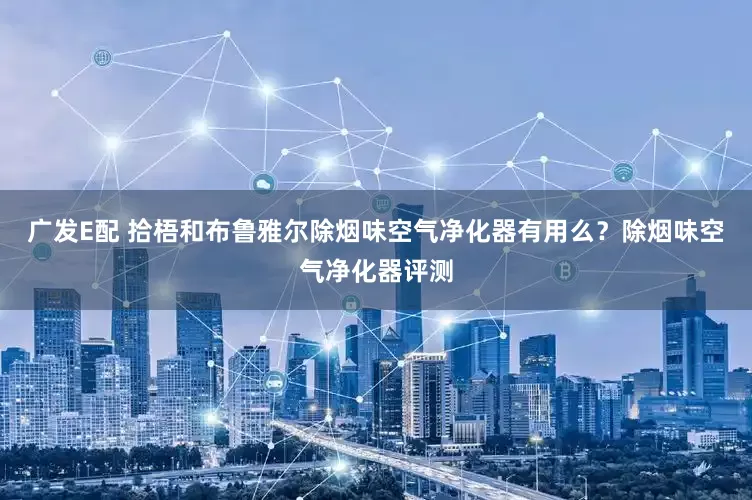 广发E配 拾梧和布鲁雅尔除烟味空气净化器有用么？除烟味空气净化器评测